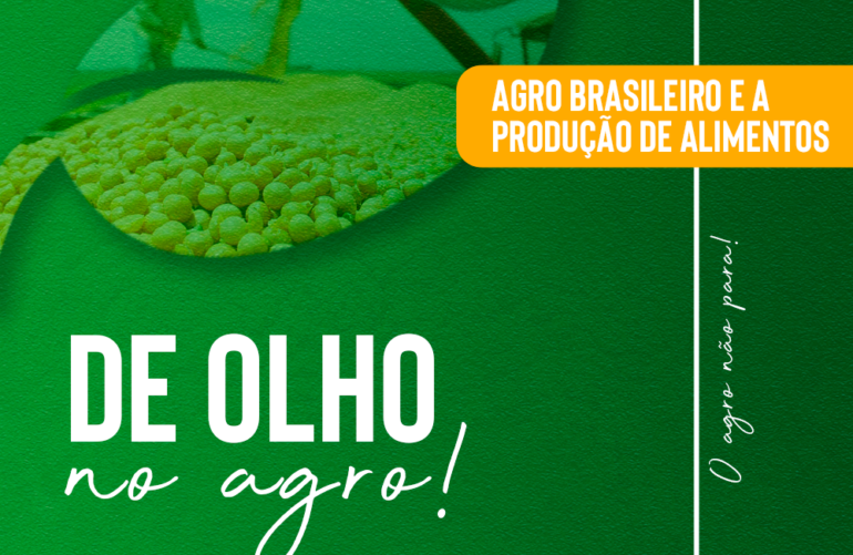 Agro brasileiro alia tecnologia e sustentabilidade para produzir alimentos